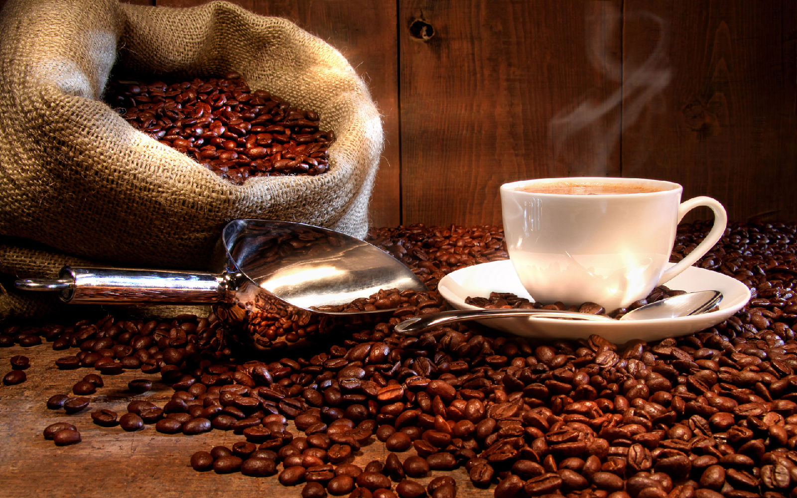 一顆咖啡豆的魅力