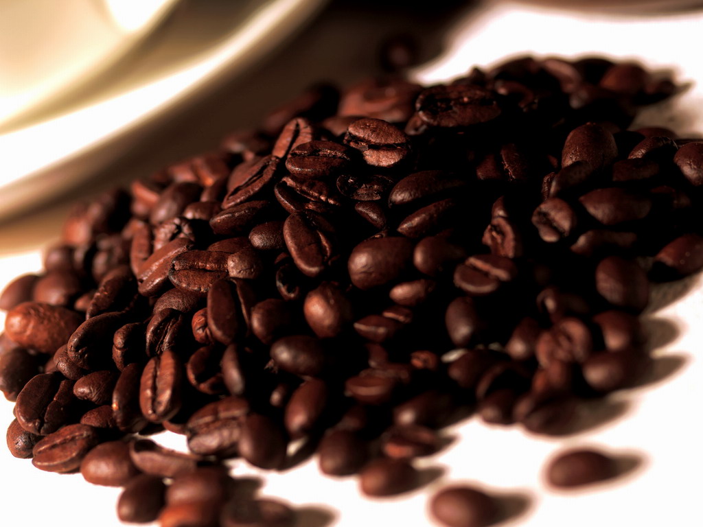 一顆咖啡豆的魅力