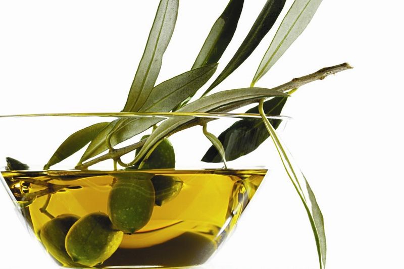 最養生食用油——橄欖油