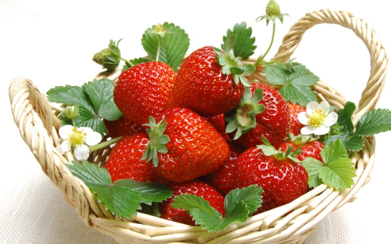 水果皇后——草莓