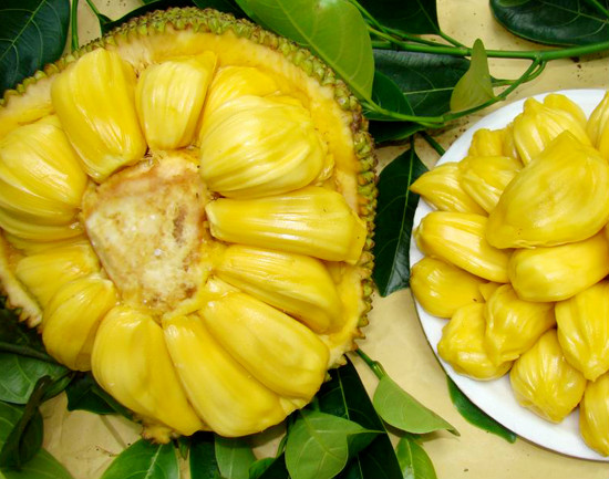 世界上最大的水果——菠蘿蜜