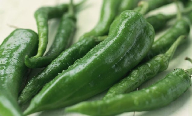 最有營養的蔬菜——青椒