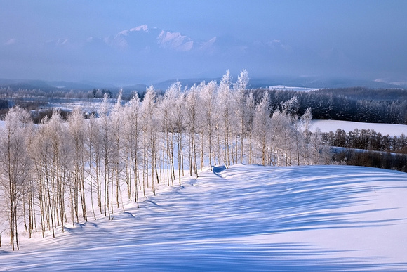 北海道享受冬天
