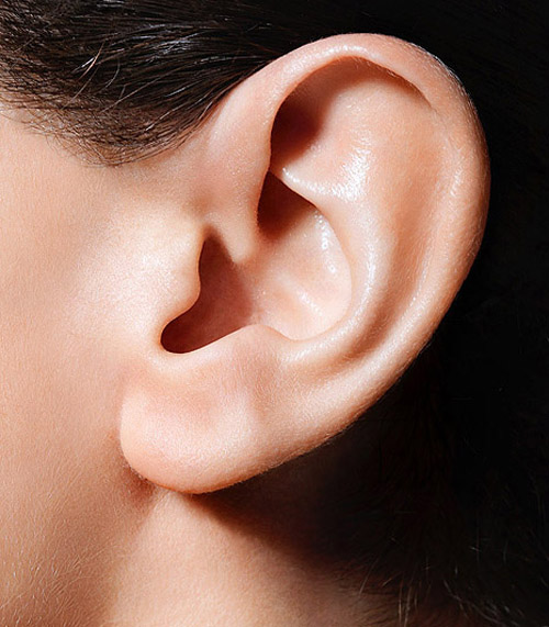 耳朵的學問你知道嗎？
