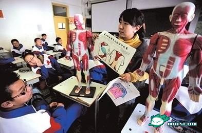 中國性教育的尷尬