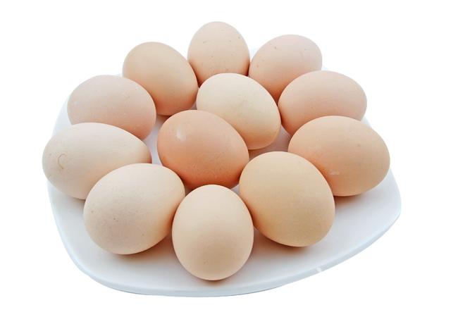 土雞蛋不見得更有營養