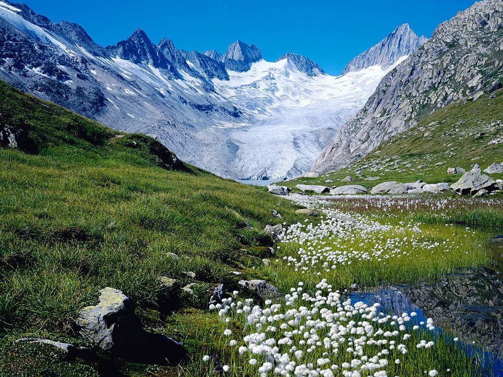 阿爾卑斯山看雪景