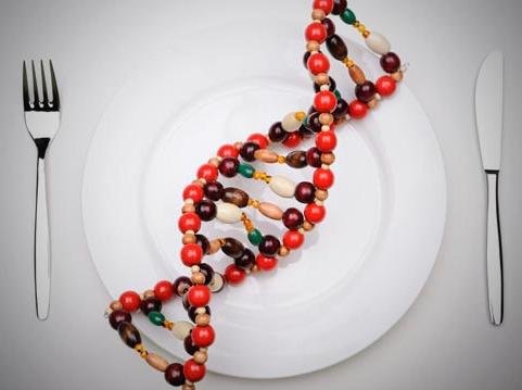 非洲的選擇：轉基因食物，還是拒絕?