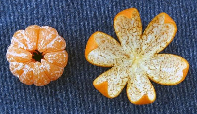 秋天吃橘子正當季