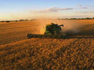 澳洲農業增長空間巨大受外資追捧