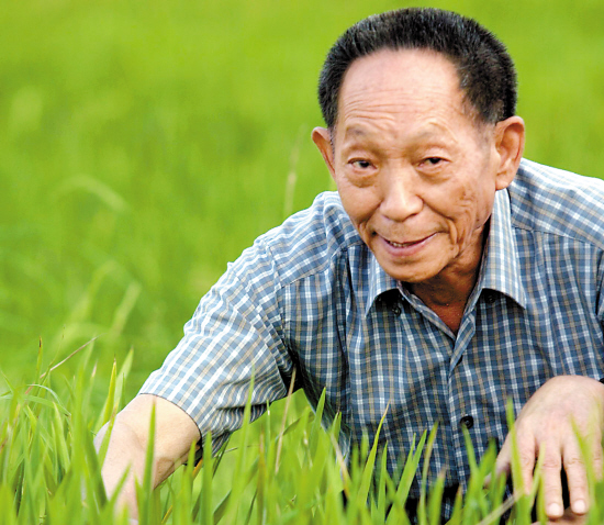 袁隆平與他的海水稻問世