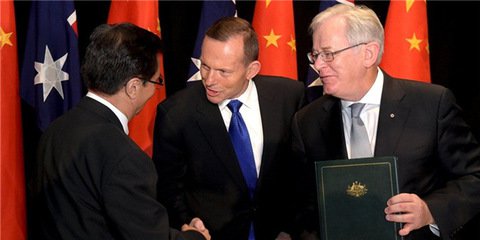 中澳、中韓自貿協定在當地掀起了“中國熱”