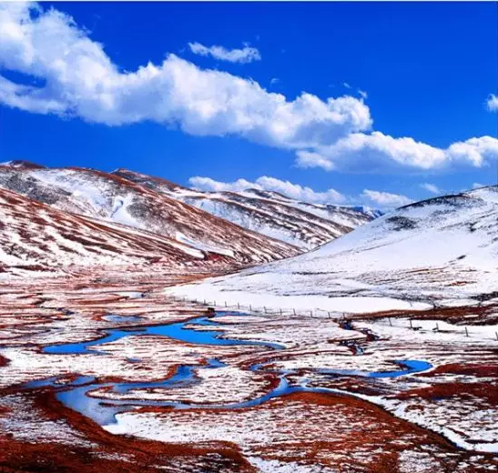 西藏下了場雪，美哭了全世界！