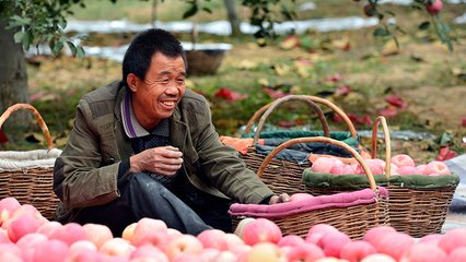 中國將進一步為其他國家的扶貧工作傳經送寶