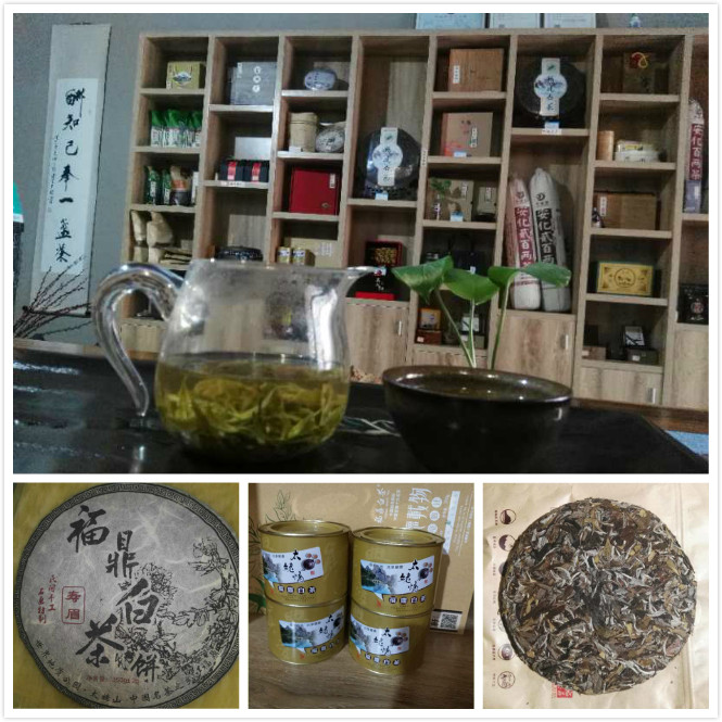 福建茶鄉——寧德 ▪ 茶香世界