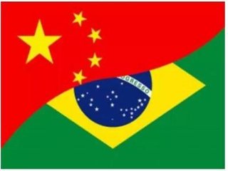 巴西與中國一起努力實現糧食安全