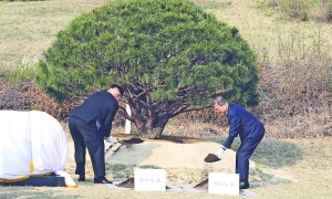 朝韓領導人共植和平樹