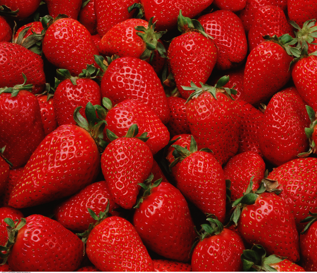 草莓照片 鲜果图片